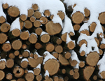 High quality firewood logs from Baltic Firewood
