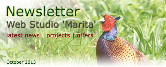Web Studio 'Marita' | Latest news, projects, offers | Newsletter | October 2013
