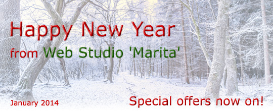 Happy New Year from Web Studio 'Marita' | Special offers now on! | January 2014