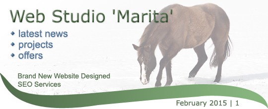 Web Studio 'Marita' newsletter | latest news, projects, offers | Brand New Website Designed & SEO Services | February 2015 / 1