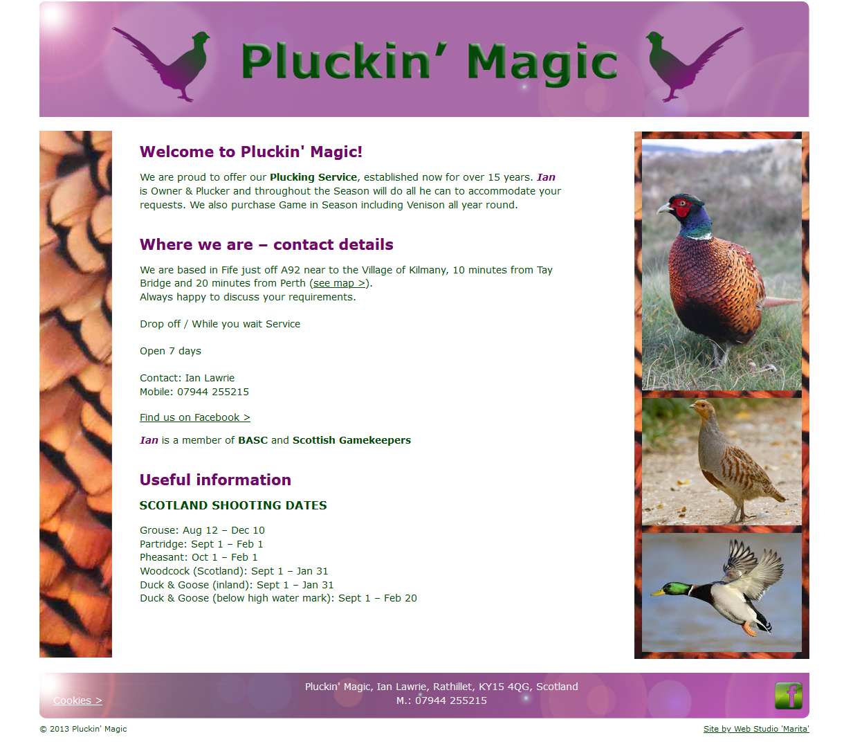 Pluckin' Magic website Designed by Web Studio Marita